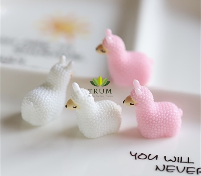 Lạc Đà Alpaca ( 1 Con)
