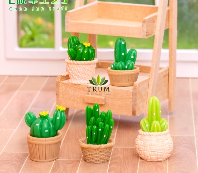 Cây Xương Rồng Nhựa Mini
