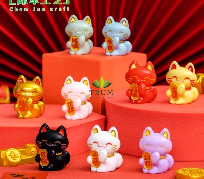 Mèo Đồng Xu 9 Mẫu