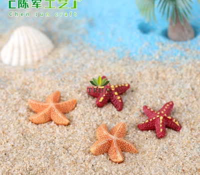 Ngôi Sao Biển Gai Mini 1.9cm