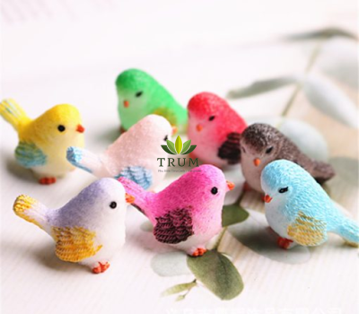 Chim Sẻ 3cm ( 1 Con)
