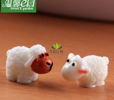 Cừu Xù Mini