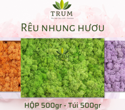 Rêu Tuần Lộc Decor Hộp 500gr ( Ghi chú màu)