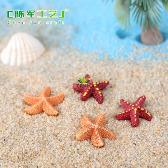 Ngôi Sao Biển Gai Mini 1.9cm
