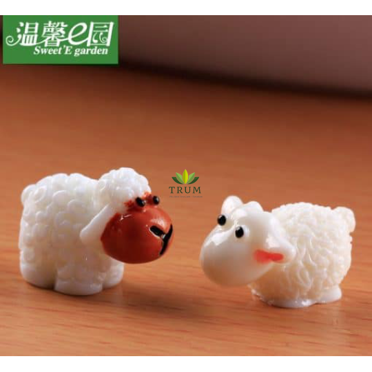 Cừu Xù Mini