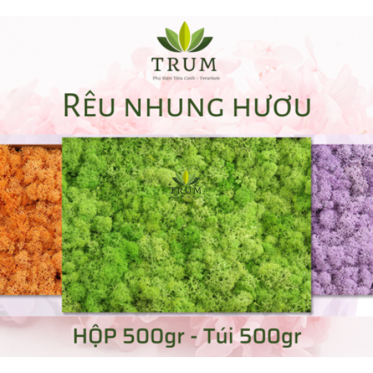 Rêu Tuần Lộc Decor Hộp 500gr ( Ghi chú màu)