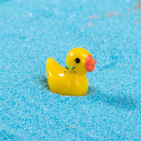 Vịt Bơi Mini